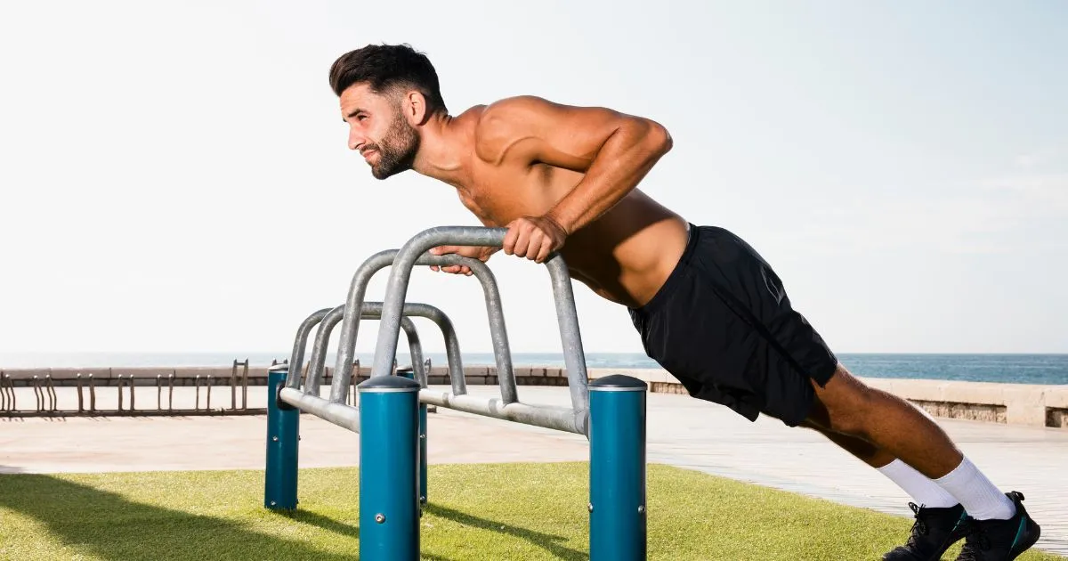 free calisthenics workout plan