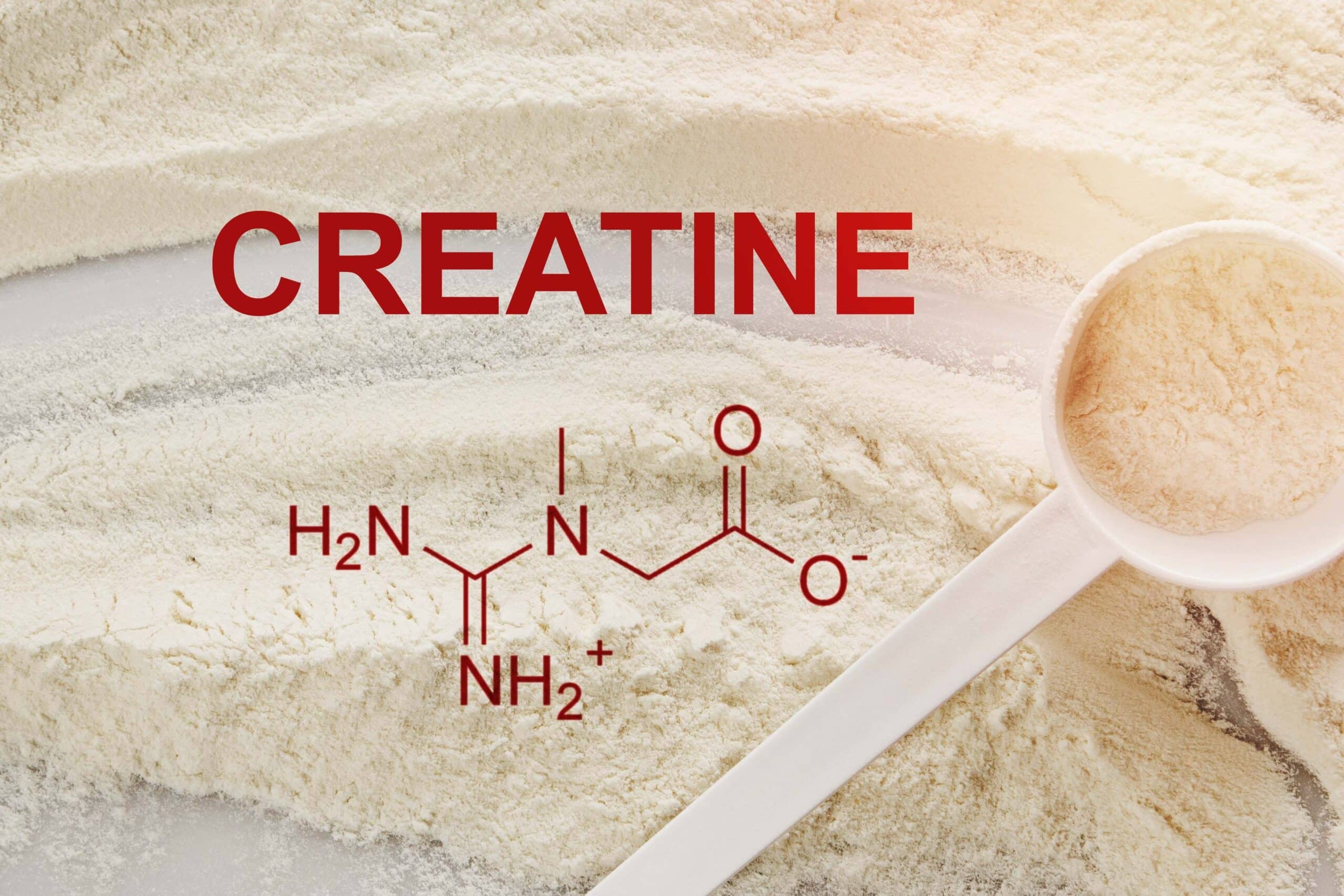 Will Creatine Make You Gain Weight