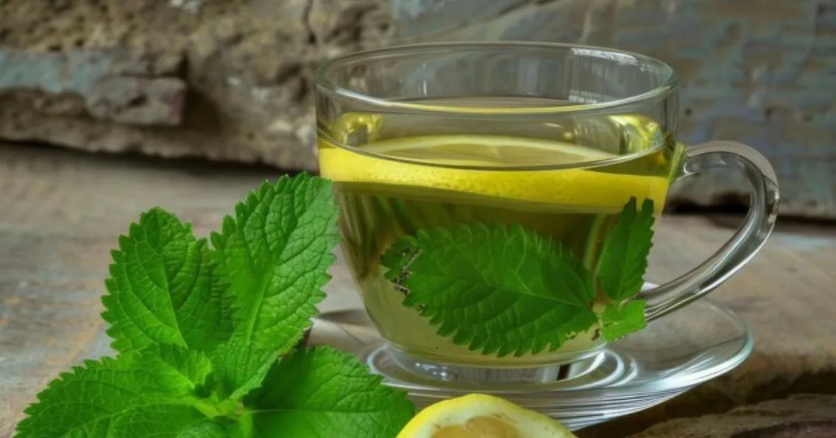 lemon balm recipe for weight loss.